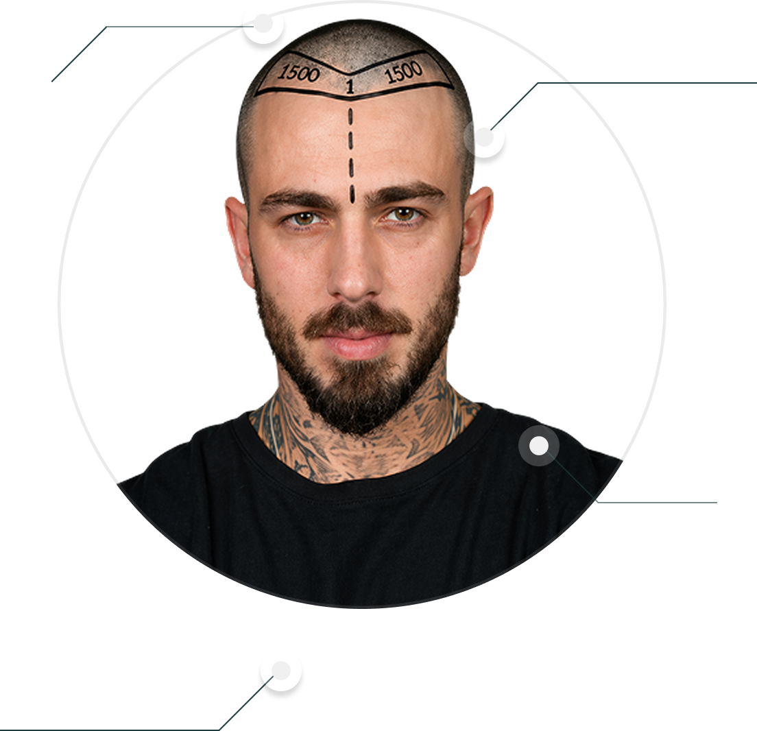 Head Visualization